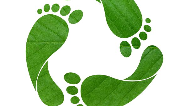 3. İstanbul Karbon Zirvesi Başlıyor