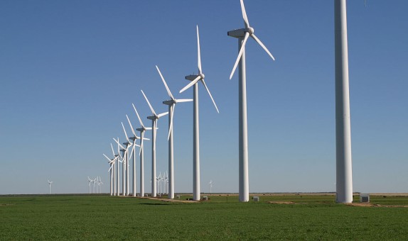 Rüzgarda Rekor Başvuru