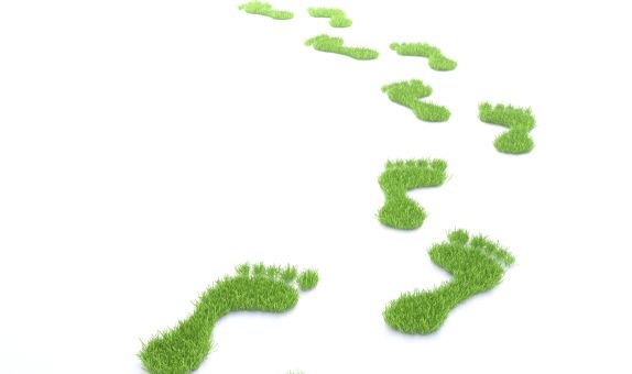 Şirketler Karbon Vergisi Ve Karbon Ticaretiyle Karşı Karşıya Kalabilir