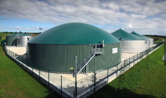 IEA Biyoenerji Enerji Üretimi İzleme Raporu