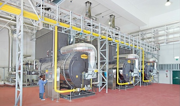 Buhar Jeneratörü Satın Almadan Önce... Buhar Jeneratörü Satın Almadan Önce...