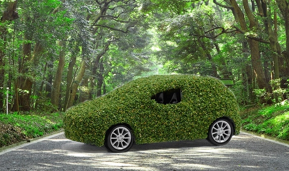 DAIKIN 2050 Yılına Kadar 1 Milyon Ağaç Hedefine Adım Adım İlerliyor DAIKIN 2050 Yılına Kadar 1 Milyon Ağaç Hedefine Adım Adım İlerliyor