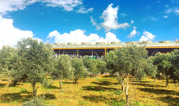 "2030 Yılında Fosil Bazlı Enerji Üretimi Önemli Ölçüde Azalacak"