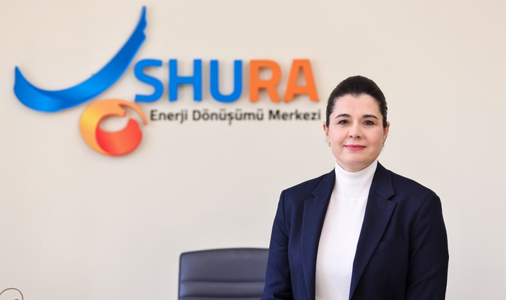 Batarya Enerji Depolama Sistemleri, Enerji İthalatını ve Karbon Emisyonunu Düşürebilir