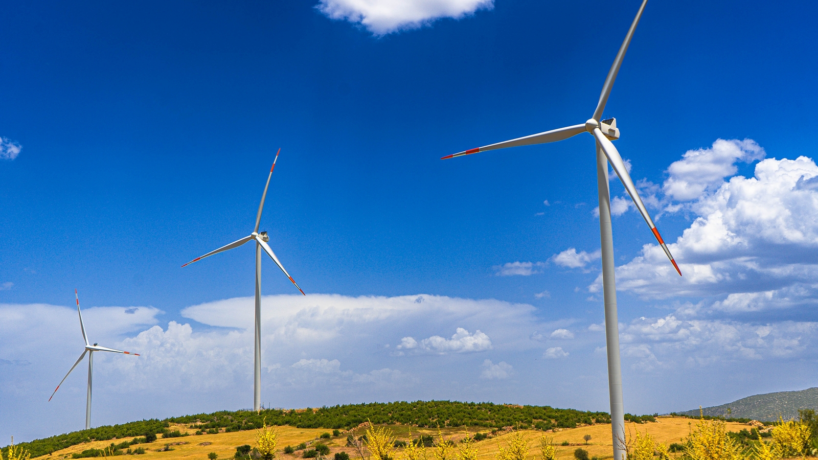 Borusan EnBW Enerji, Yapay Zeka Alanında Küresel Ağa Katıldı Borusan EnBW Enerji, Yapay Zeka Alanında Küresel Ağa Katıldı