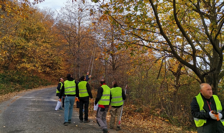 Borusan EnBW Enerji'den "Bandırma Karadağ Kestanesi"nin Geleceği Projesi