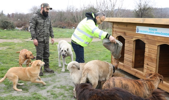 İGDAŞ Can Dostlarına Sahip Çıkıyor