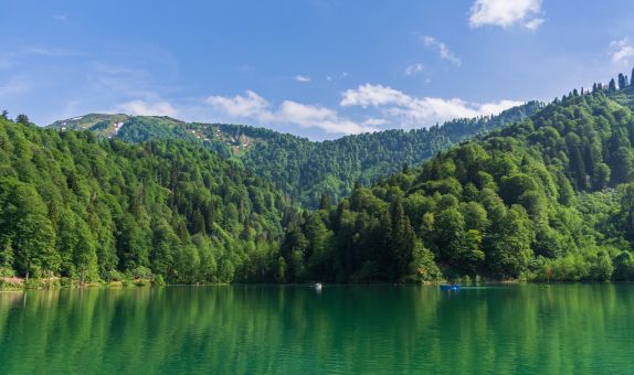 Sağlıklı Bir Çevre Hepimizin Ortak Geleceği Sağlıklı Bir Çevre Hepimizin Ortak Geleceği