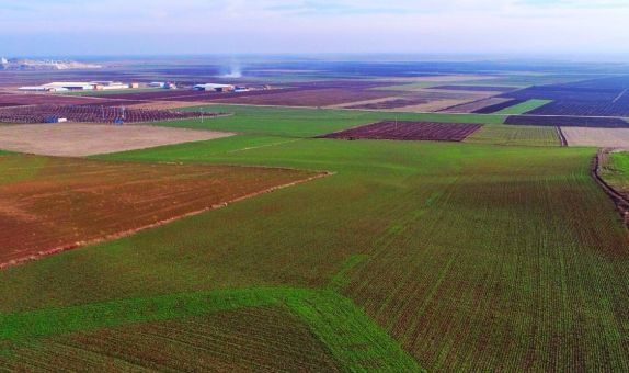 TEMA: Alpu Termik Santrali İçin Tüm İzinler Mahkemede