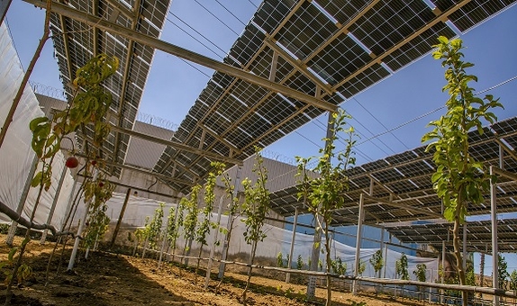 Temiz Enerjinin Gölgesinde Tarımsal Üretim Başladı Temiz Enerjinin Gölgesinde Tarımsal Üretim Başladı